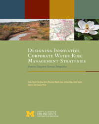 Designing Innovative Corporate Water Risk Management Strategies from an Ecosystem Services Perspective