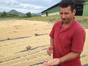 Nicaraguan Co-ops Help Farmers Maximize the Value of their Coffee