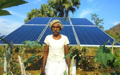 Leapfrogging the Grid: How Solar Water Pumps Could Revolutionize Indian Agriculture