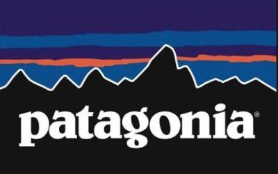 Patagonia: Encouraging Customers to Buy Used Clothing (B)