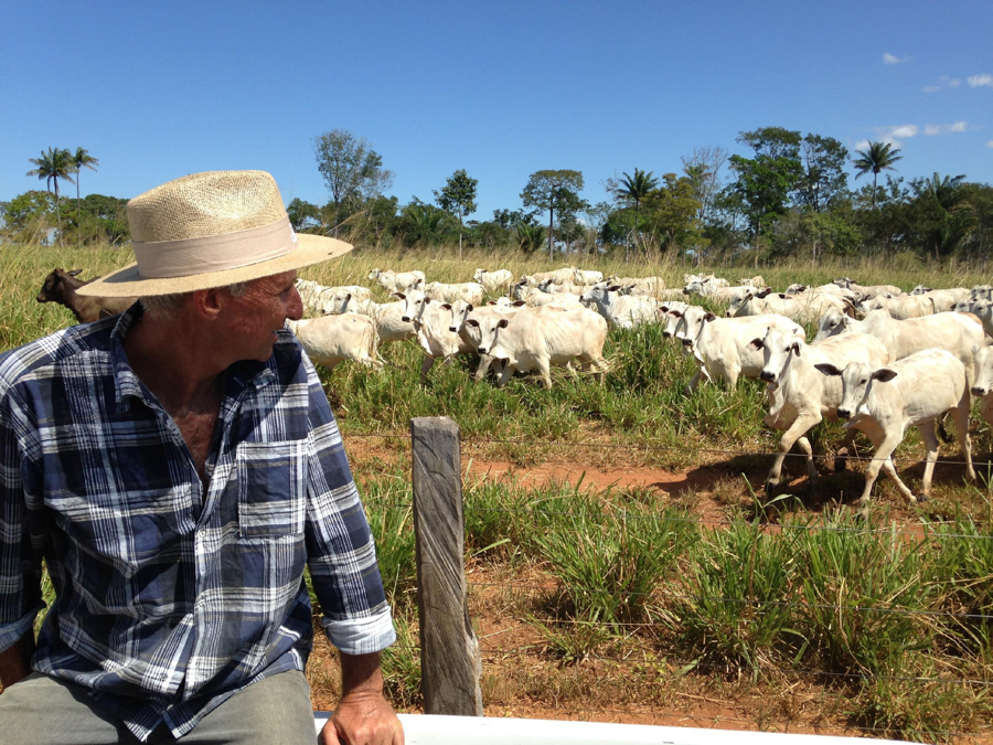 The million dollar cow: high-end farming in Brazil – photo essay