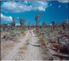 Renewable Energy in the California Desert: Mechanisms for Evaluating Solar Development on Public Lands