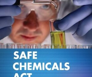 5 ways the Safe Chemicals Act can benefit business