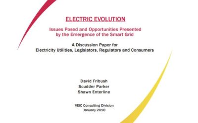 Electric Evolution: Issues Posed and Opportunities Presented by the Emergence of the Smart Grid