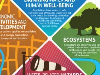 Water Stewardship in Africa: The Next Frontier for Building Shared Value