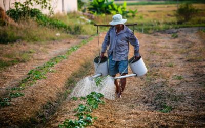 Structuring international development decisions: confronting trade-offs between land use and community development in Costa Rica