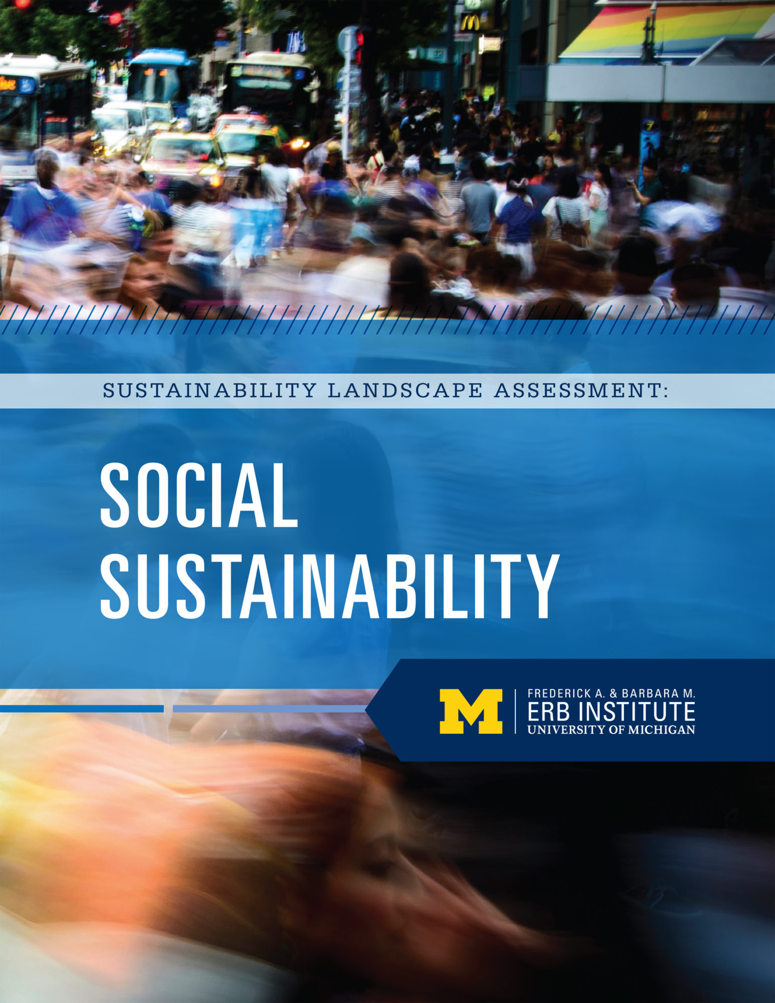 Sustainability Landscape Assessment: Social Sustainability