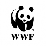 WWF