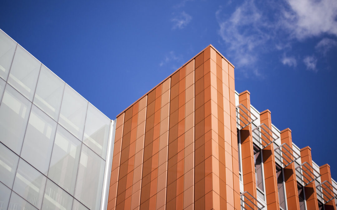 Rethinking Business: Professor Andy Hoffman Maps Out a Purpose-Driven Future on AMCC Podcast